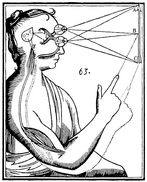 Grabado de El hombre (Tratado del hombre), publicado en 1664, tras la muerte de Descartes: la imagen que entra por los ojos se dibuja en la glándula pineal, que envía los «espíritus animales» a los músculos del brazo. En Las pasiones del alma, la glándula será el lugar donde se comunican el alma y el cuerpo.
