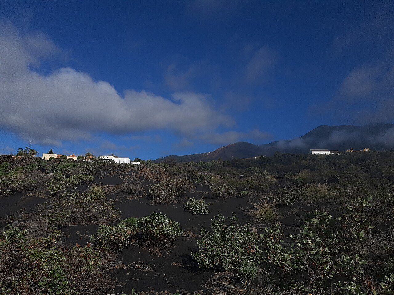 Terreno de materiales volcánicos negros con matorral que rebrota, algunas casas blancas al fondo y las montañas de Cumbre Vieja bajo un cielo azul, en la isla de La Palma.