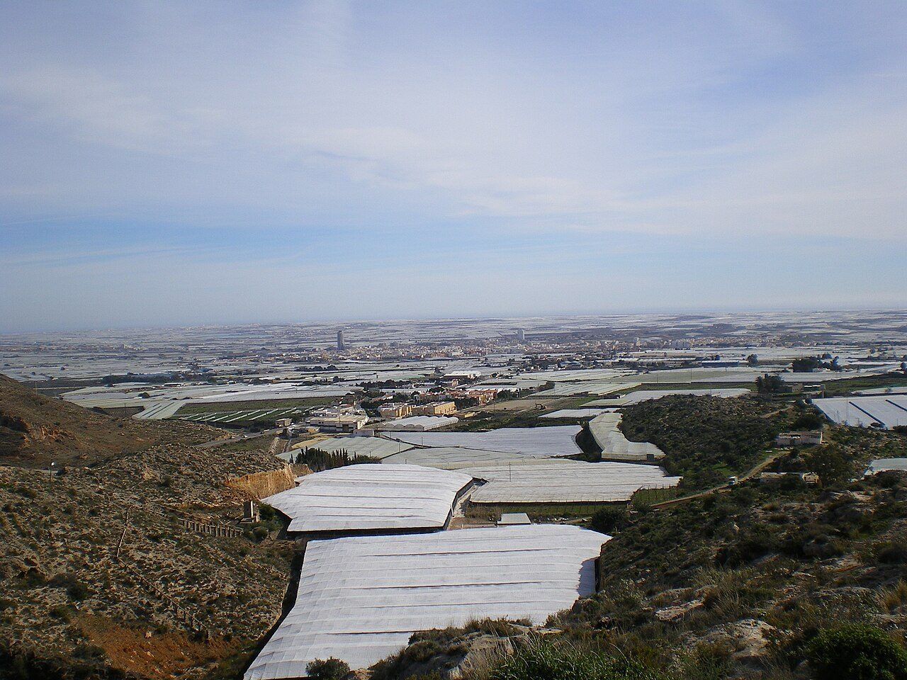 Vista amplia de miles de invernaderos blancos que cubren la llanura de El Ejido con edificios al fondo