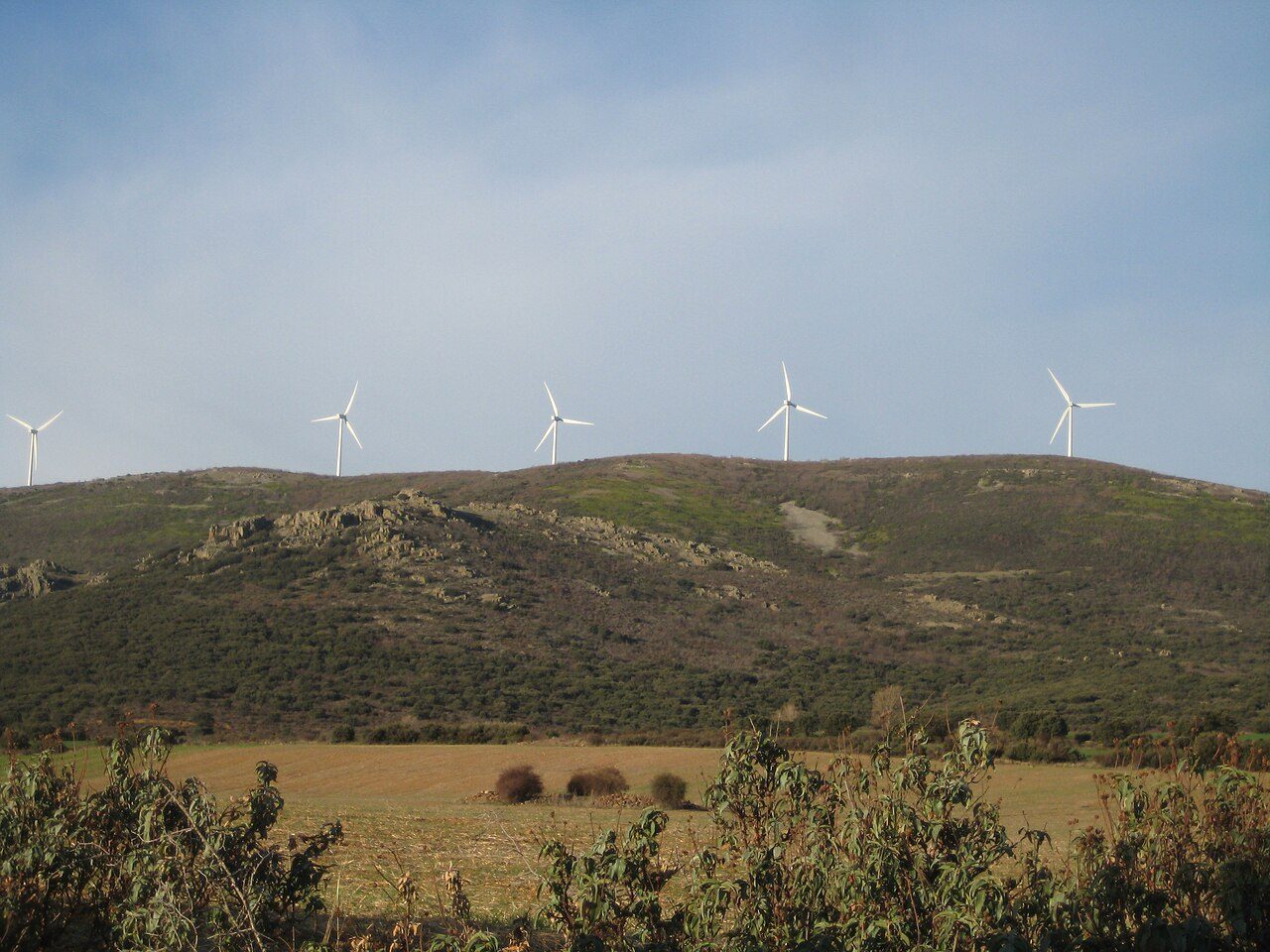 Hilera de aerogeneradores blancos sobre una sierra cubierta de matorral, con un campo de cereal en primer plano, en Teruel