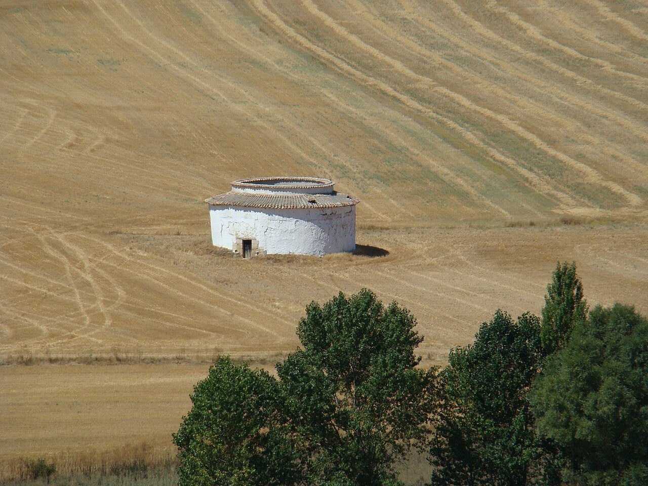 Ladera suave cubierta de rastrojo de cereal con las huellas de la cosechadora y un palomar circular encalado en el centro; chopos en primer plano.