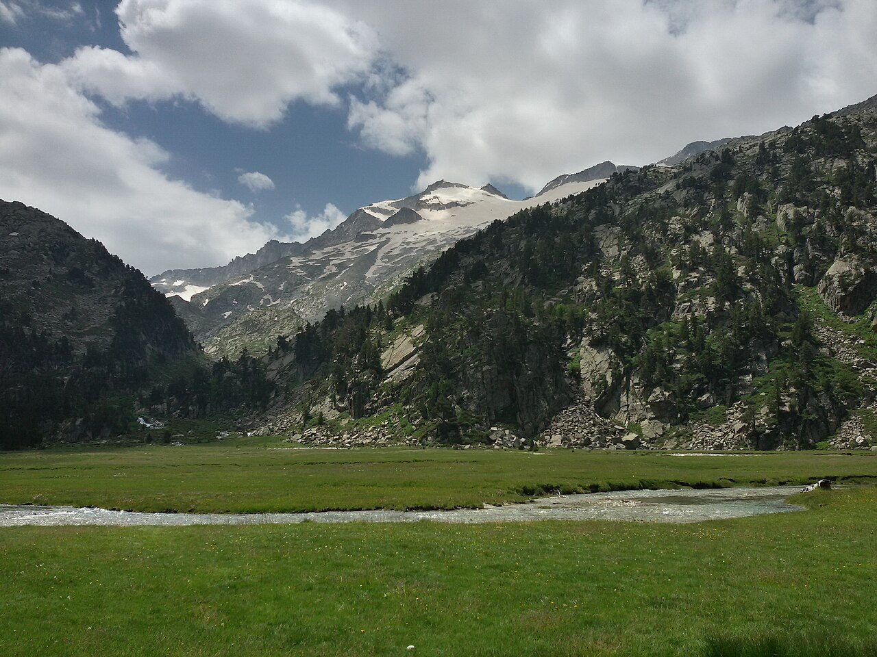 Valle con prado verde y un arroyo, laderas con pinos y al fondo cumbres rocosas con manchas de nieve y hielo.