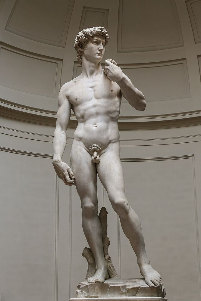 David (Miguel Ángel), Miguel Ángel